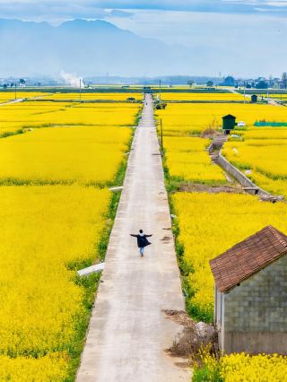 항저우에서 1시간 만에 탈출! 푸춘강변 3000무 유화 같은 유채꽃밭, 나만의 숨겨진 명소