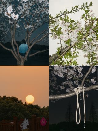 ทริปพักผ่อนสุดสัปดาห์ในเซี่ยงไฮ้ | คู่มือชมดอกซากุระที่สวนซากุระเกาตง