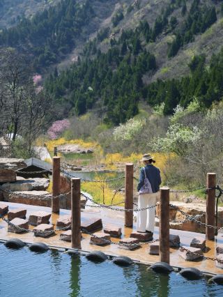 정저우 소구채 깜짝 발견｜1시간 차로 가는 봄철 비밀 장소