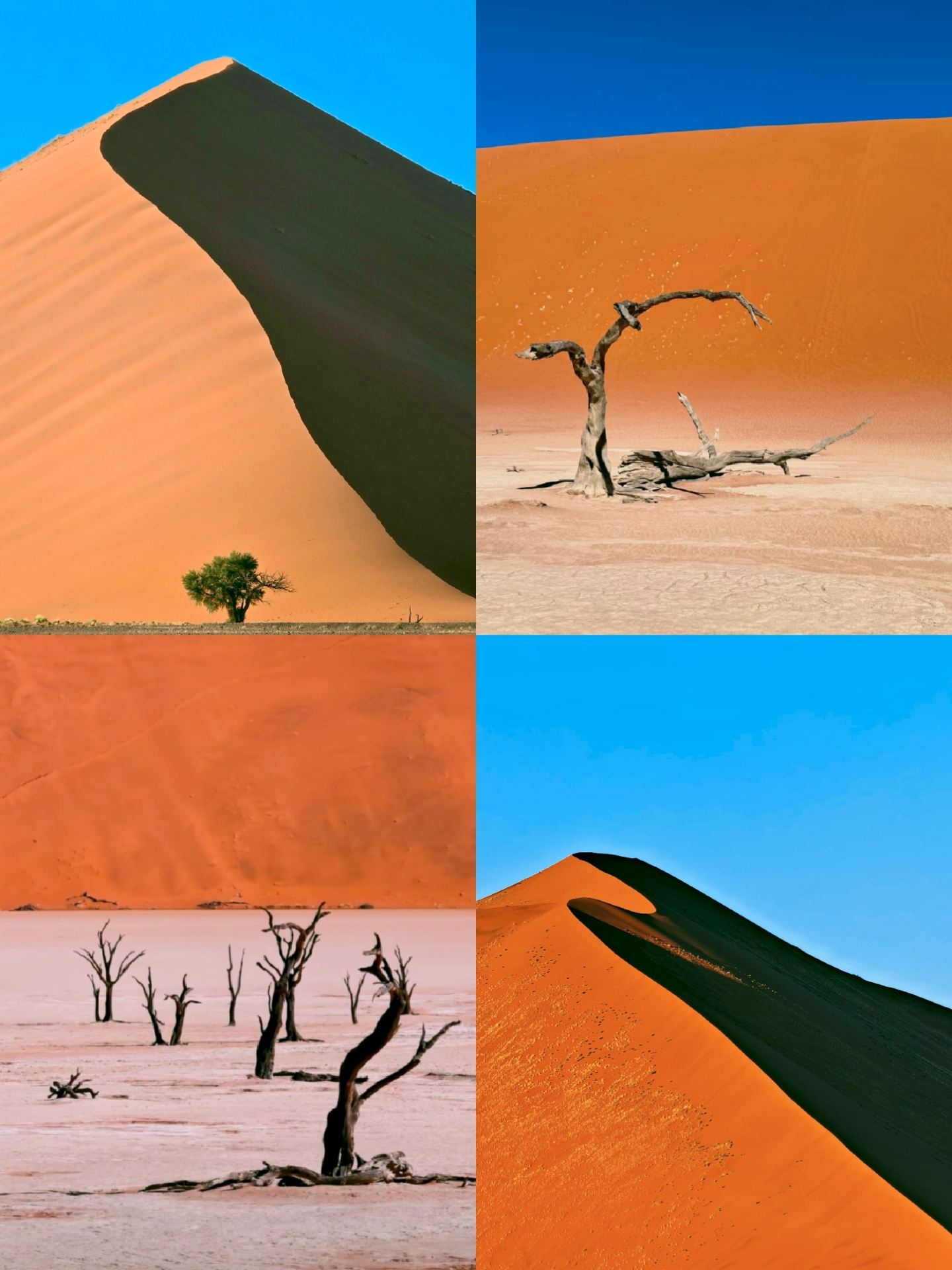 Ảo mộng cồn cát Namibia