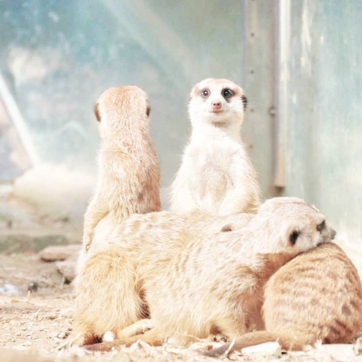 Planning a family trip to Nanjing? It can actually be super chill