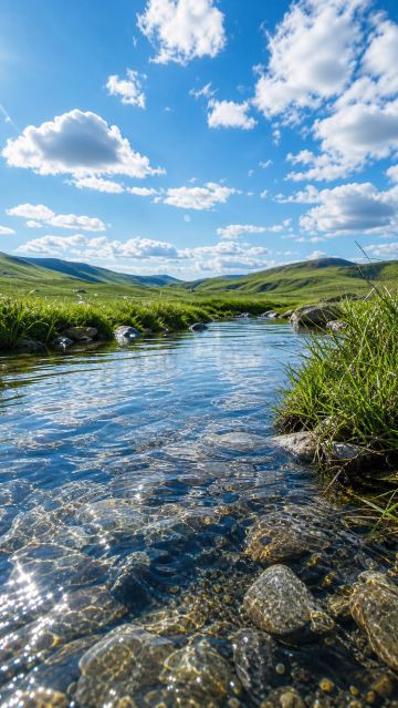 狼渡草原の九曲溪流が、西北の夏をスイスの風景に変える | Trip.com 岷県