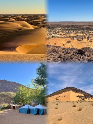 I've already returned from Mauritania. I really wouldn't recommend going in July or August, because it's just...