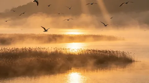 Wolong Lake in Kangping, a hidden wetland near Shenyang — traveler post in Kangping