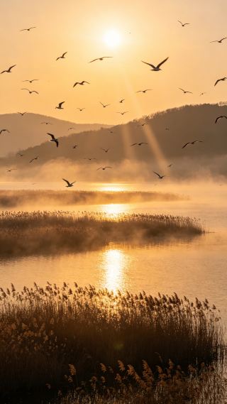 Wolong Lake in Kangping, a hidden wetland near Shenyang