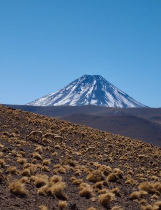 Atacama Desert, Chile 🌵 the driest place on Earth