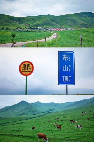 Summer 2026 Exclusive | 3-hour drive to the 22°C Yunzhong Grassland in Bashang