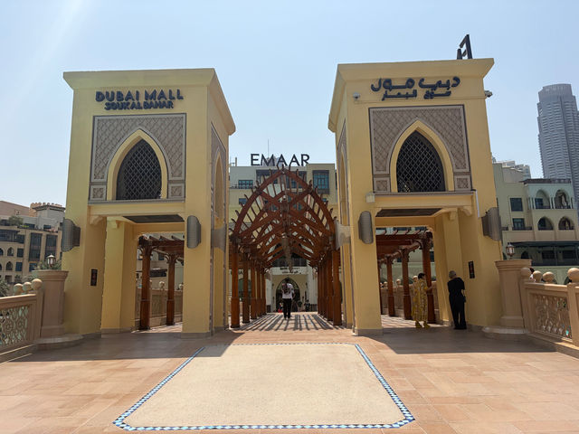 A Nice Addition to Dubai Mall