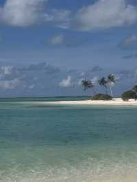 An Unforgettable Vacation