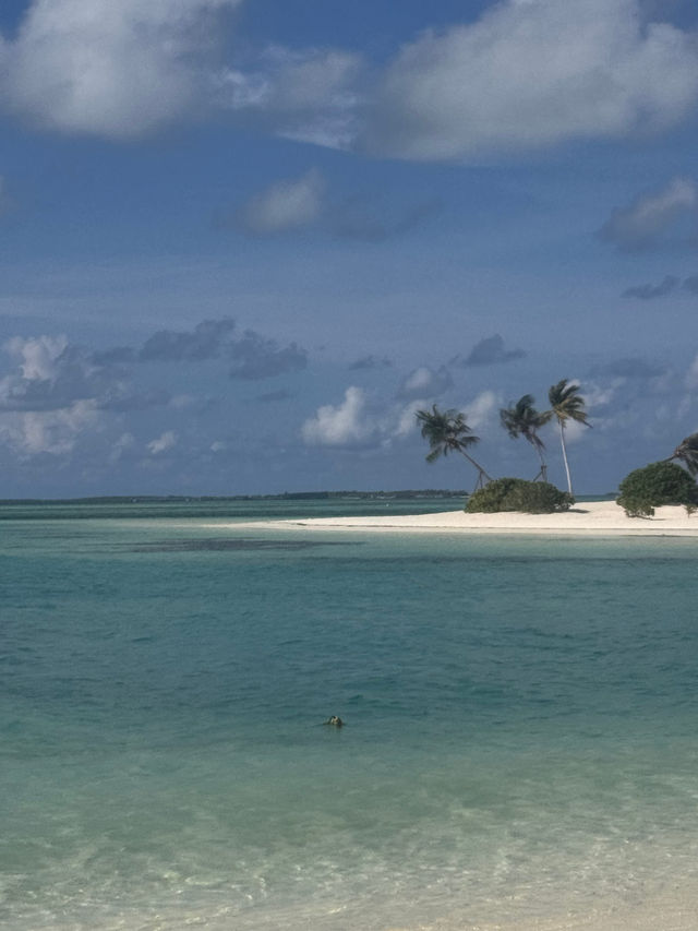 An Unforgettable Vacation
