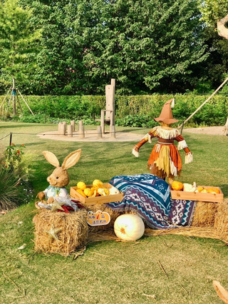 🍂🎃 Shanghai Autumn Fairytale Only! The Shanghai Botanical Garden has become a fairytale world for little rabbits 🐇✨