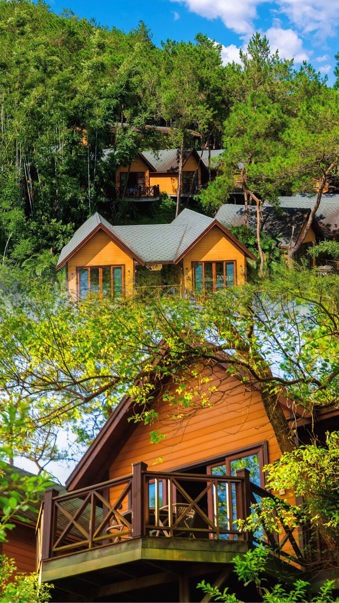 Xinyi Sanhua Plum Resort | A hidden mountain getaway, a rejuvenating short trip into the wild