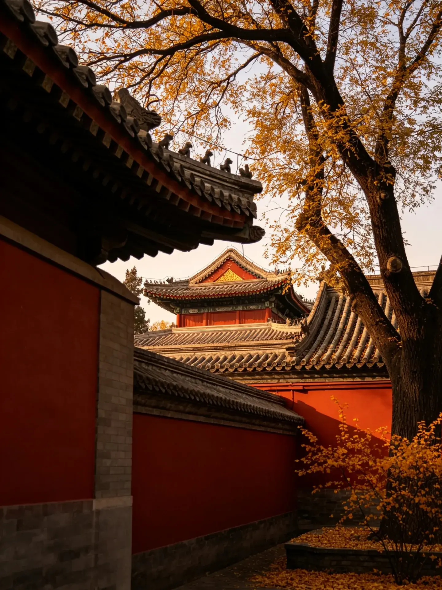 Chaoyang di Bulan Oktober ｜ Wisata Santai Musim Gugur di Pegunungan Liaoxi.