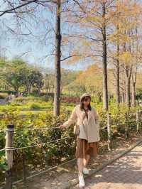 周末郊遊好地方·青衣公園