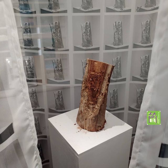 本地遊好去處《一樹無聲》展覽