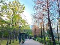 【市區看紅葉🍂~青衣公園】