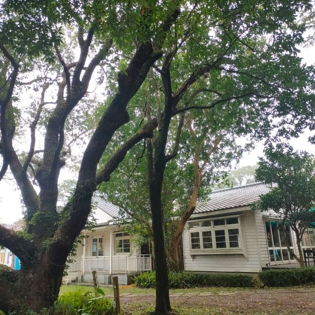 陽明山舊美軍宿舍群-草山小鎮