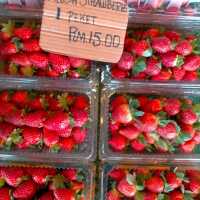 Farmer's Market amidst Chilling Weather