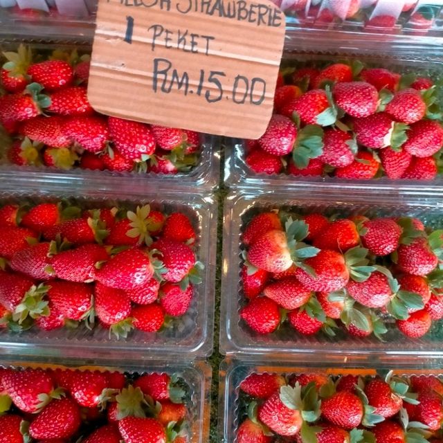 Farmer's Market amidst Chilling Weather