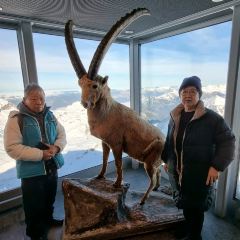 Schilthorn - Piz Gloria User Photo