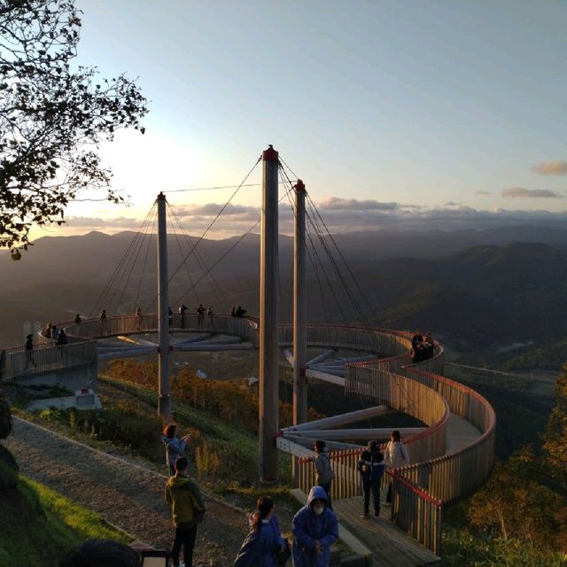 北海道星野TOMAMU度假村雲海平台改建完成！徜徉在雲海中品嘗可愛雲朵甜點