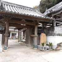 加太kitchen daicjan自製紀州梅雪糕¥400