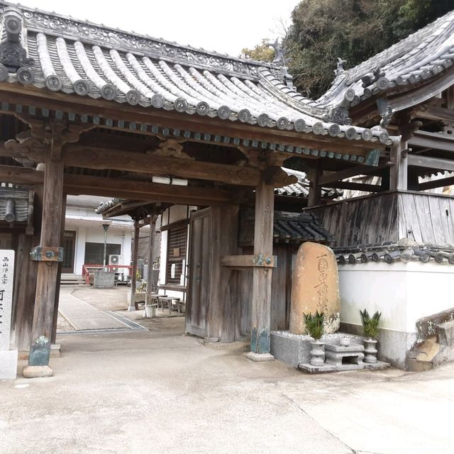 加太kitchen daicjan自製紀州梅雪糕¥400