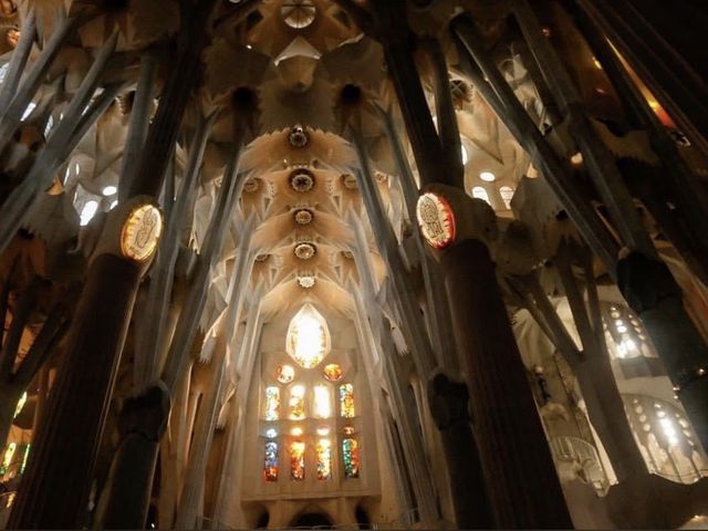 곡선으로 만 존재하는 가우디가 만든 사그라다 파밀리아 성당 ⛪️