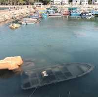 長洲環島遊