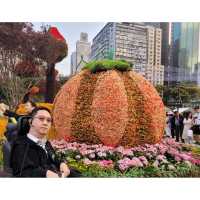 香港花卉展覽2023