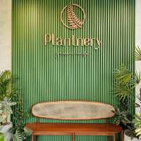 จิบกาแฟในสวนป่านนทบุรี ที่ Plantnery Green Café