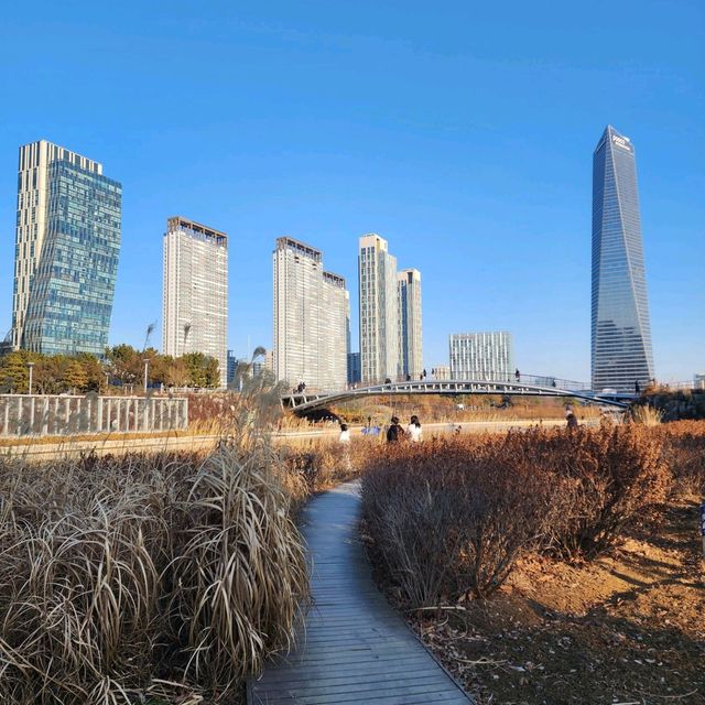 인천 송도에 오면 꼭 와야하는 센트럴파크를 가보자