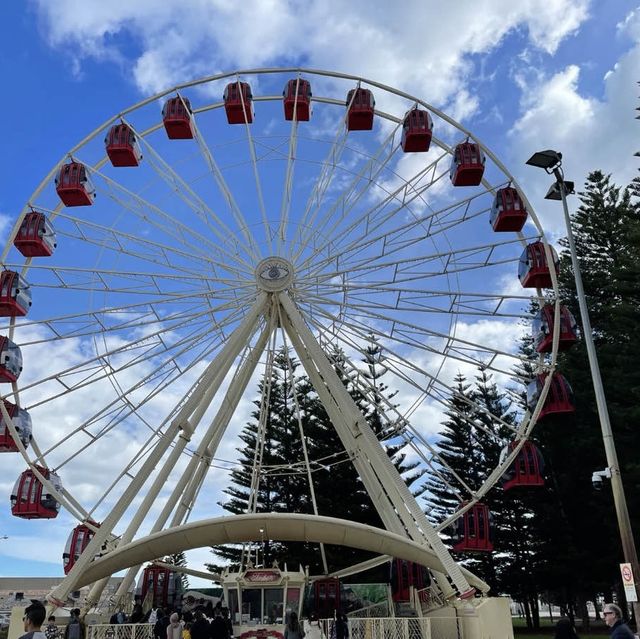 伯斯景點👣 弗里曼特爾Fremantle 