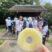 馬屎洲地質公園-欣賞地質奇觀及無敵海景