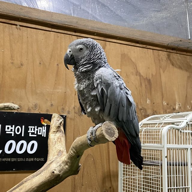 대구 아이와 함께 가볼만한 곳, 이월드 