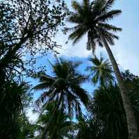 SEA BREEZE & PALM TREES @ PULAU PANGKOR!