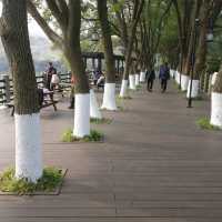Discover Suzhou of Jiangsu Province 