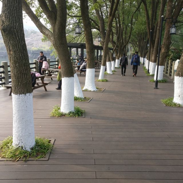 Discover Suzhou of Jiangsu Province 