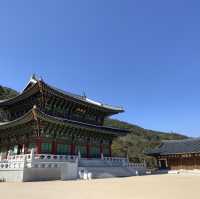 천천히 산책하며, 한의학을 만나볼 수 있는 곳 산청한방테마파크 