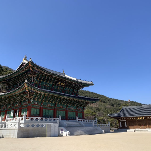 천천히 산책하며, 한의학을 만나볼 수 있는 곳 산청한방테마파크 