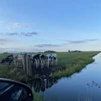 Beautiful nature, the Netherlands!