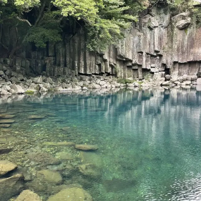 🌊제주 서귀포의 필수코스, 천제연 폭포