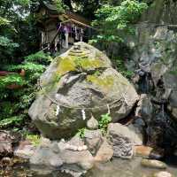 【熱海】熱海屈指のパワースポット来宮神社