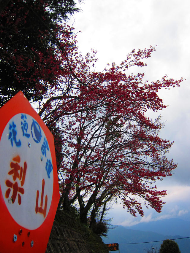 梨山之美