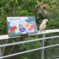 Singapore's Largest Bird Paradise 🦜🐦