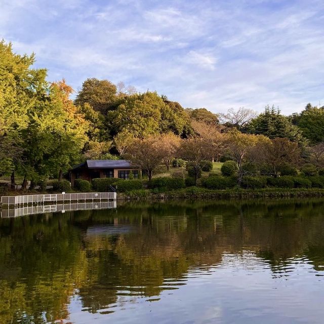 🌳 한국식 정원 구간이 있는 요코하마의 미츠이케 공원에서 자연을 감상해보세요💕