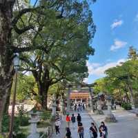 Autumn walk through Dazaifu