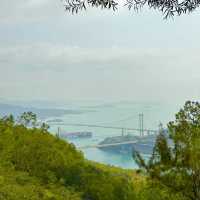 🏞️👣 元荃古道～征服山徑🏞️👣🌳
