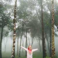 อุทยานแห่งชาติทองผาภูมิ