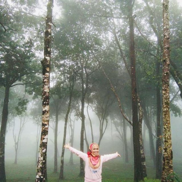 อุทยานแห่งชาติทองผาภูมิ